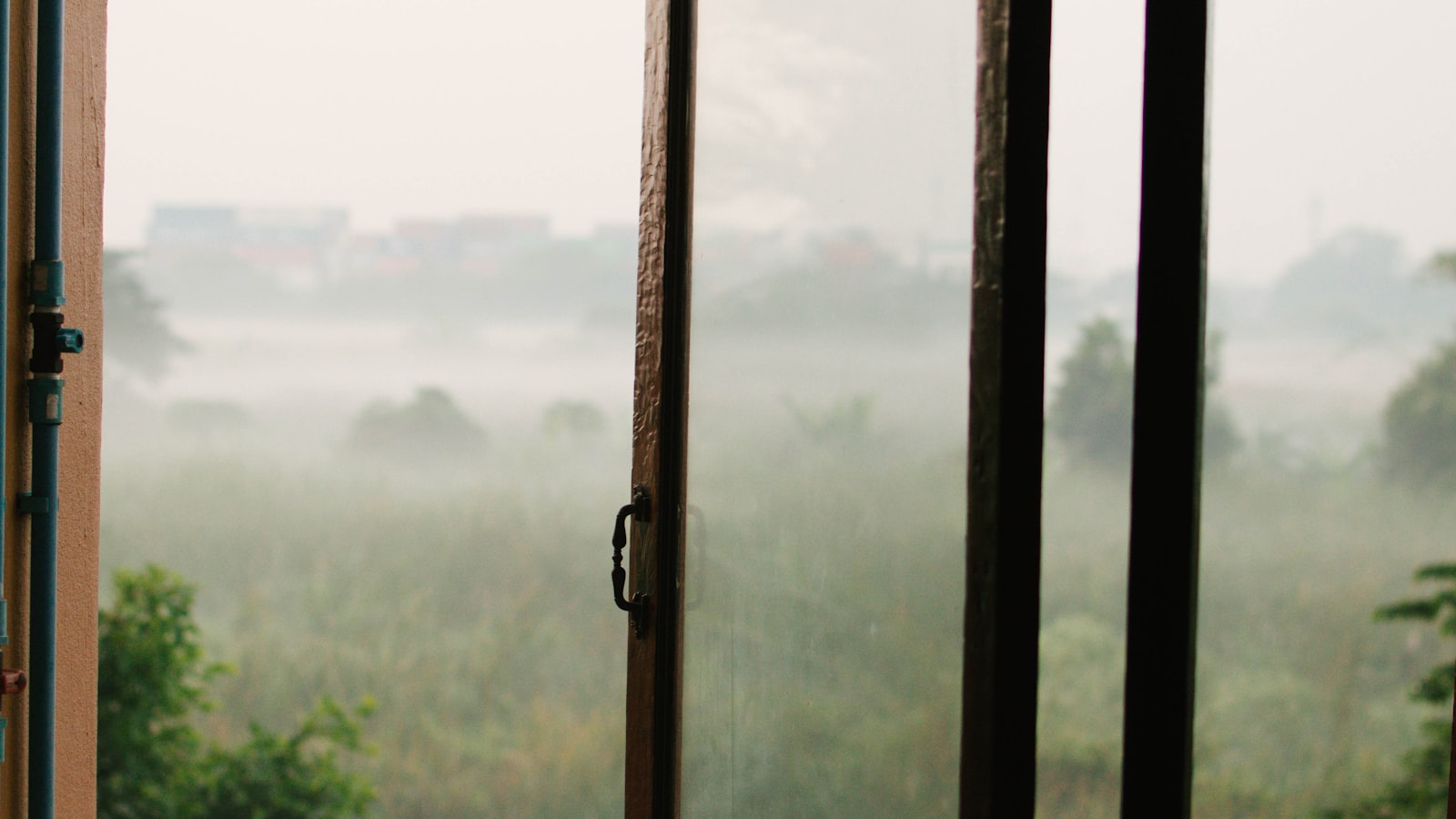 Window with view of foggy field — the morning weather forecast