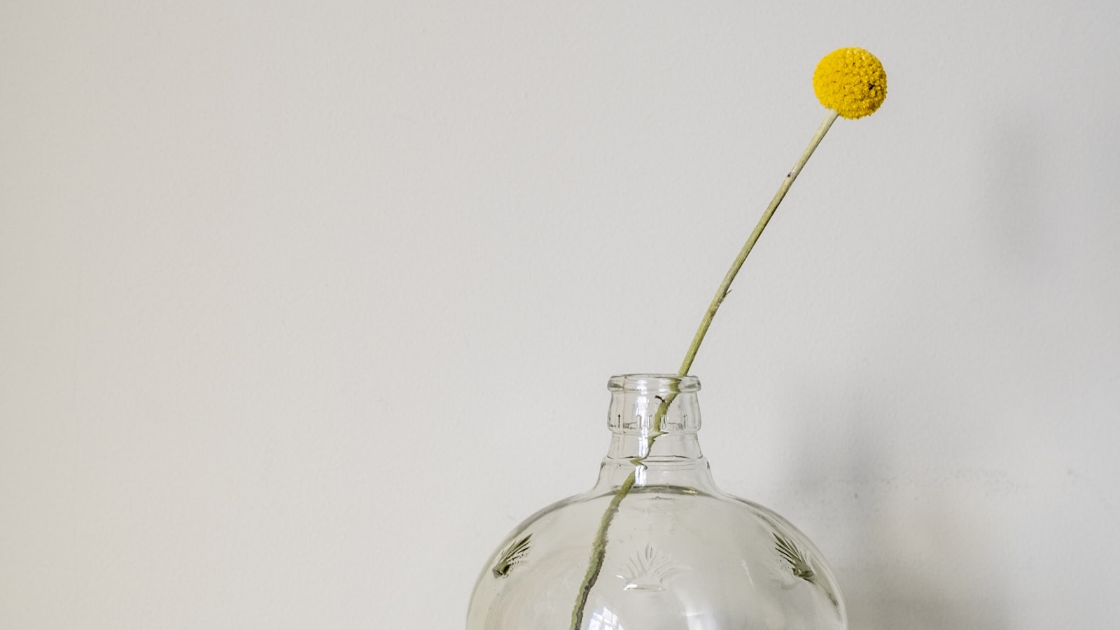 Adult hormonal acne in your 40s