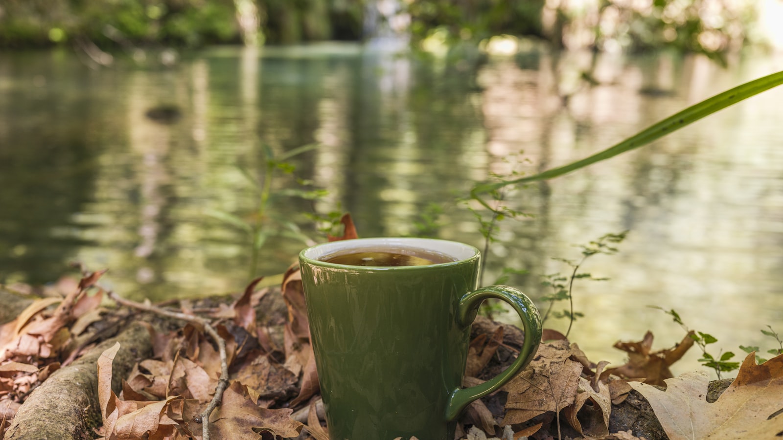Green mug of tea on autumn leaves — the five quiet things
