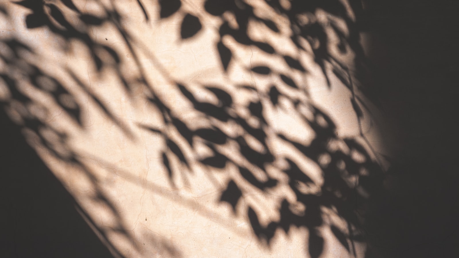 Skin adapting to the seasons