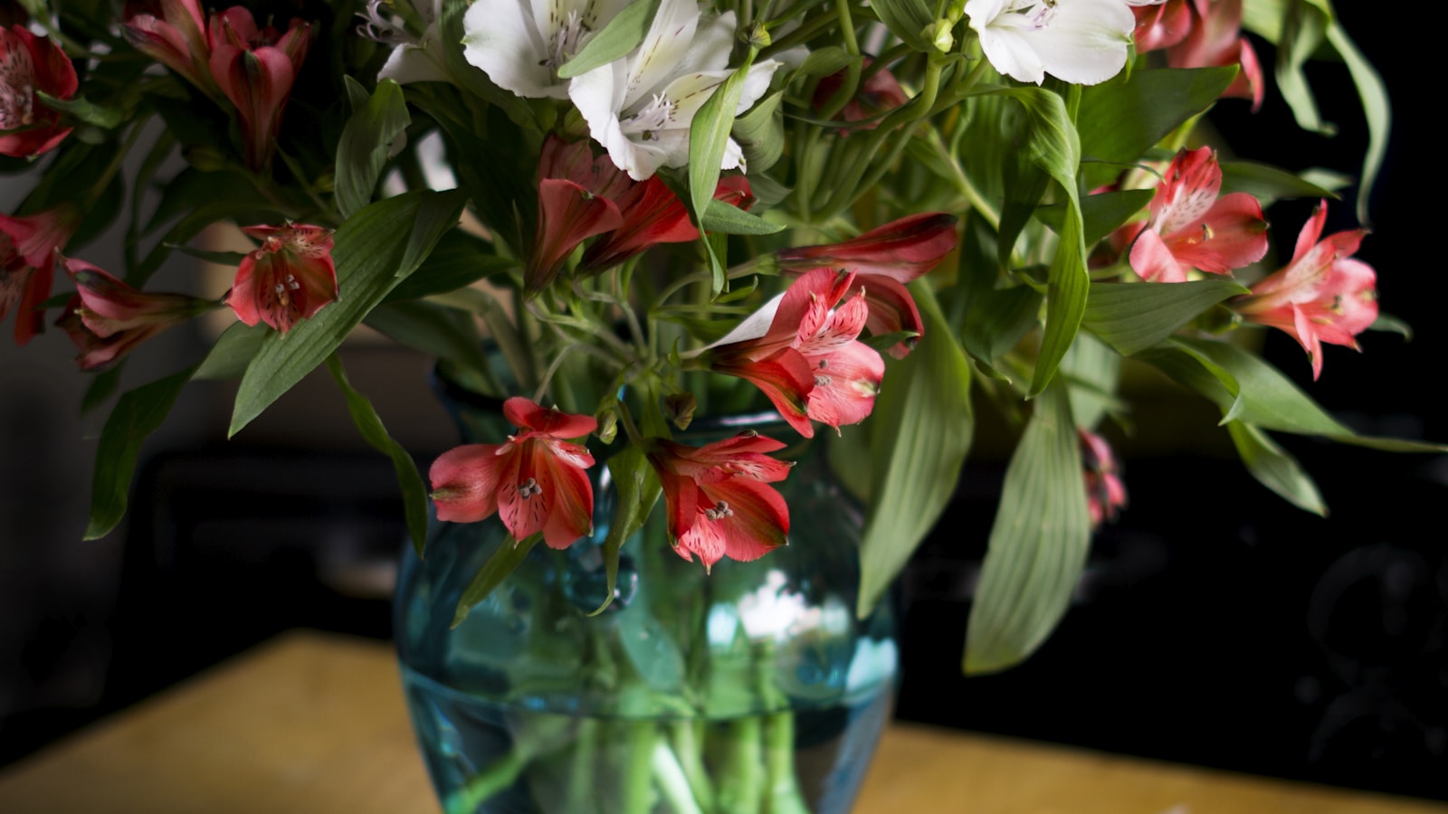 Menopausal skin dryness and estrogen